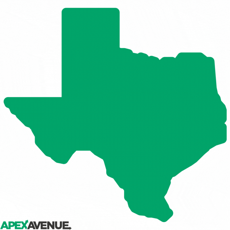 Texas GIF